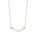Tiffany&Co. T Smile Necklace
