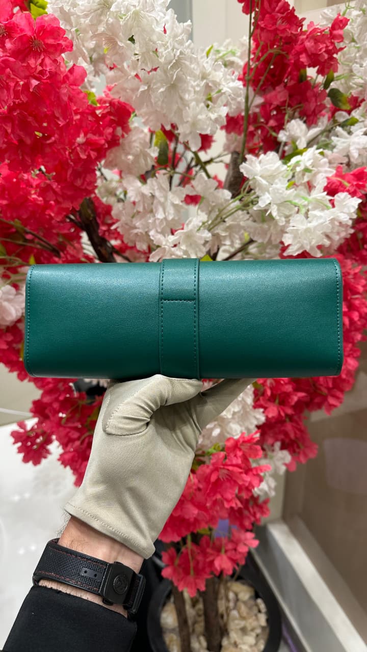 Rolex Watch Case